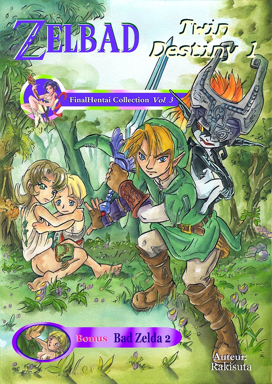 Zelda Twin Destiny numero d'image 1