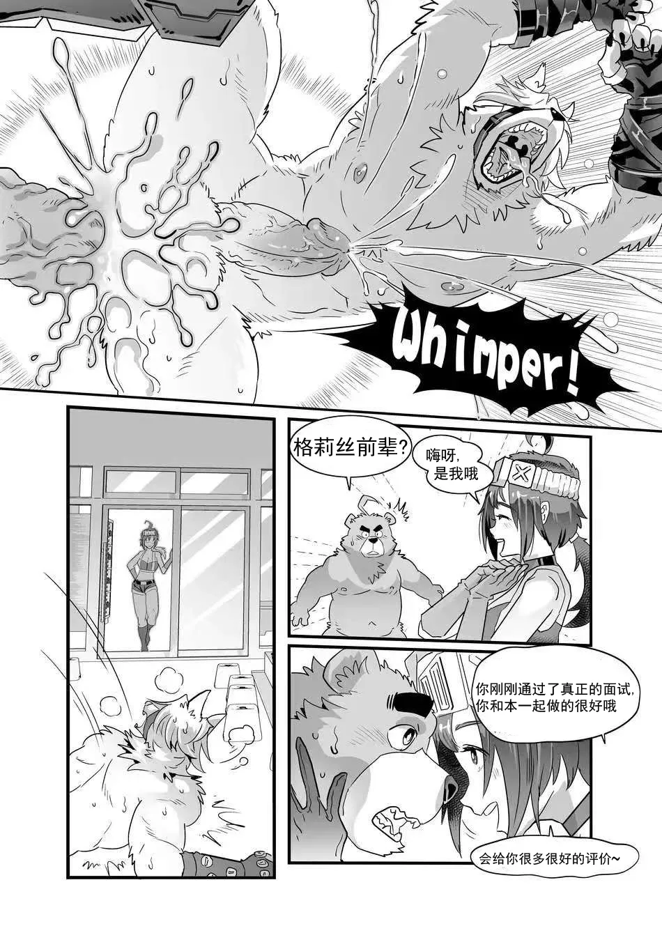 ZZZ 1-3 numero d'image 36