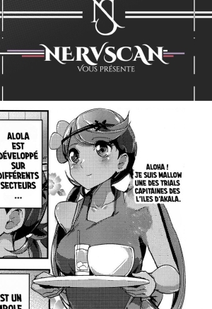 Alola Champion no Tokken