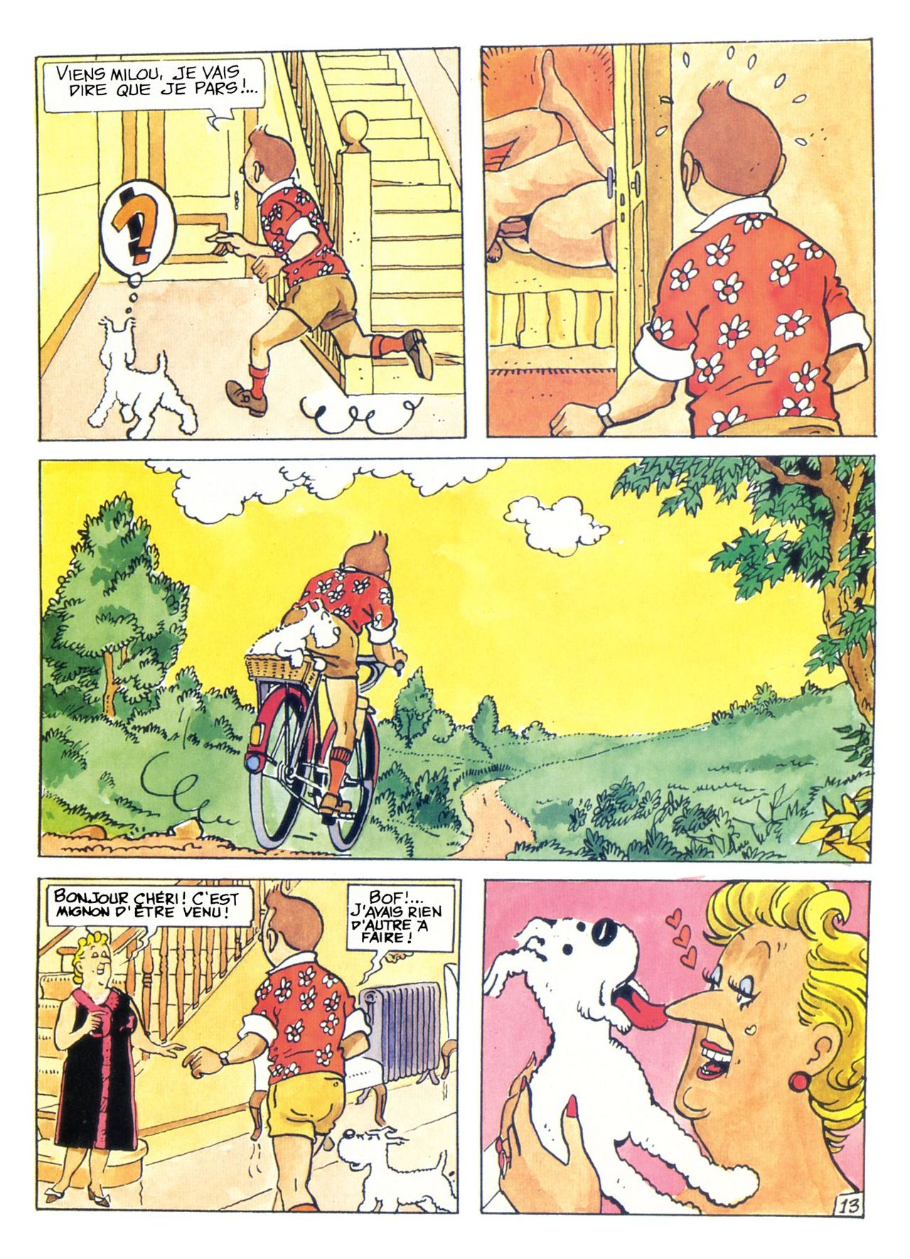 La Vie Sexuelle De Tintin numero d'image 16