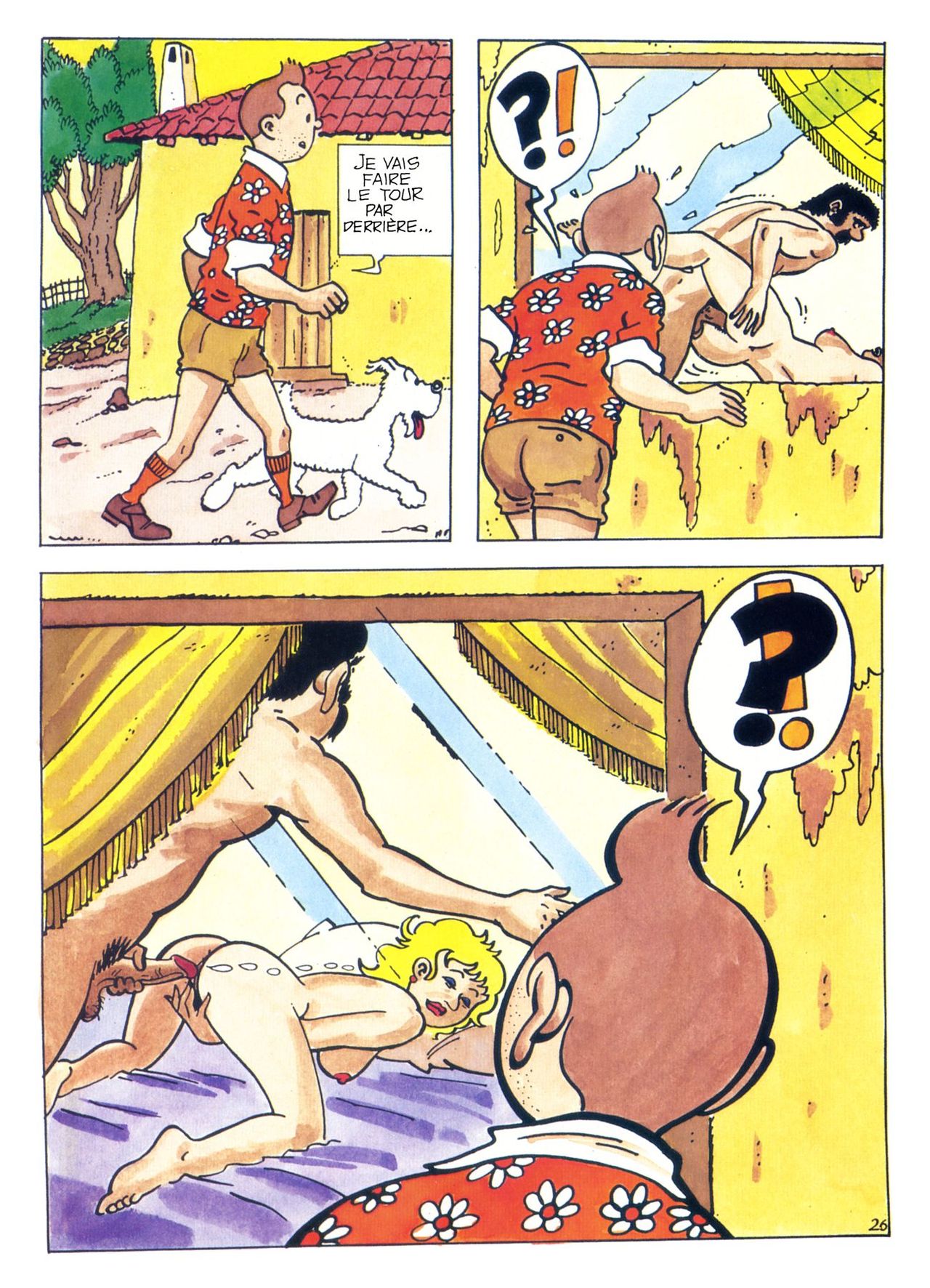 La Vie Sexuelle De Tintin numero d'image 29