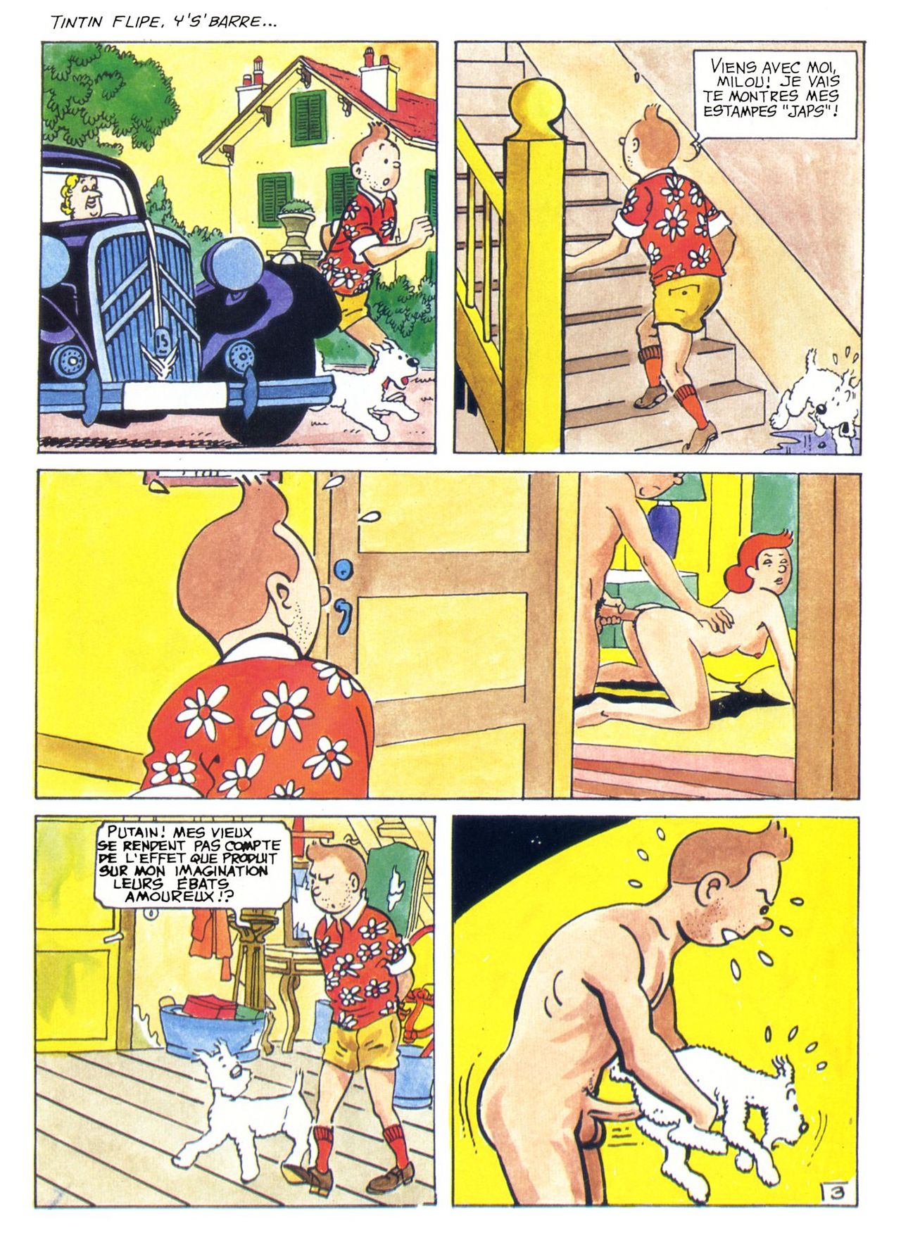 La Vie Sexuelle De Tintin numero d'image 6