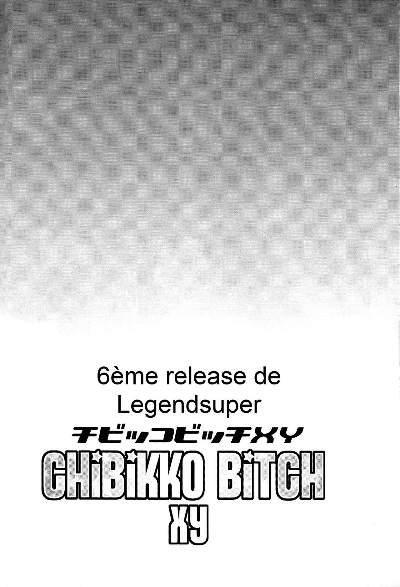 Chibikko Bitch XY numero d'image 2