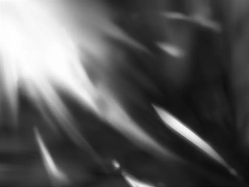 Co? Kuroi Ryuu to Yasashii Oukoku numero d'image 1374