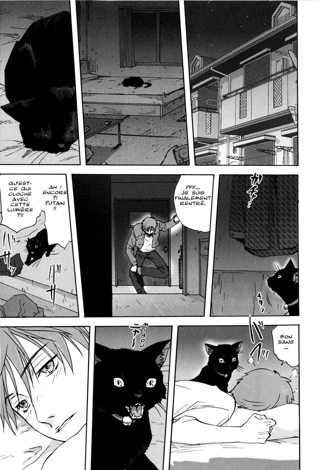 Neko no Ongaeshi  A Cat Repaying Kindness