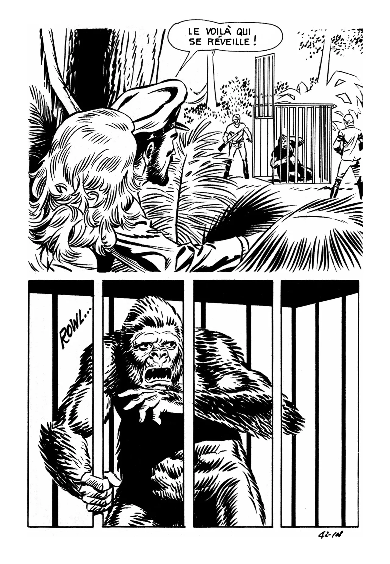Le secret de King-Kong numero d'image 112
