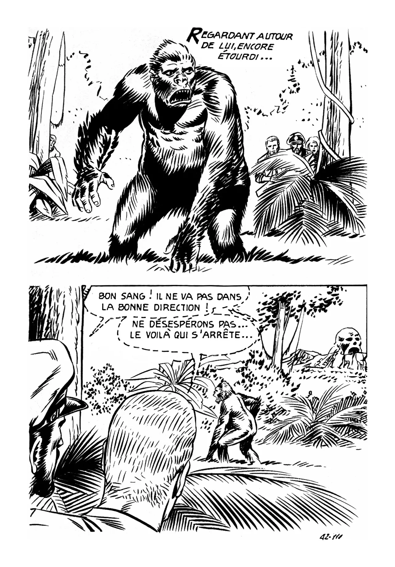 Le secret de King-Kong numero d'image 114