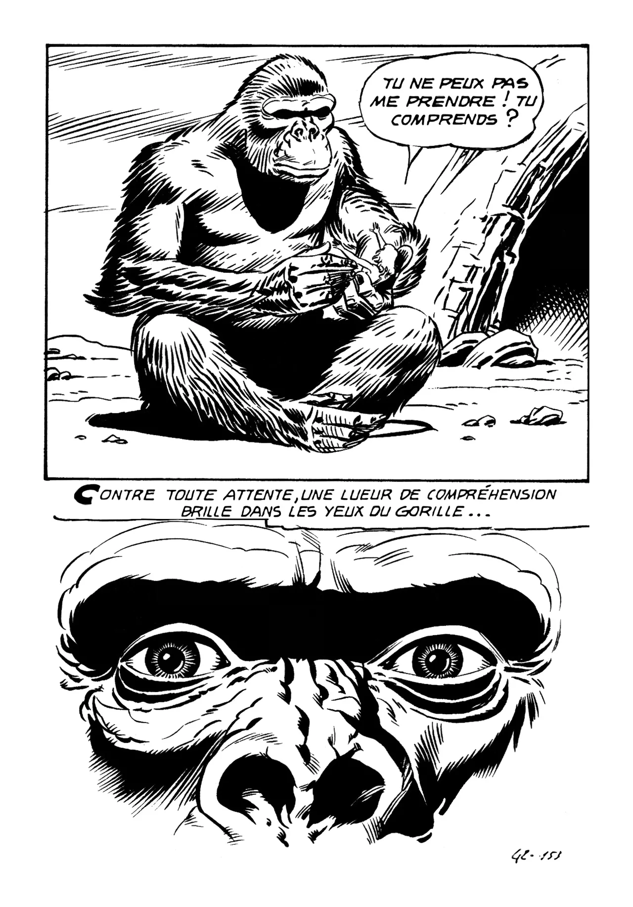 Le secret de King-Kong numero d'image 157