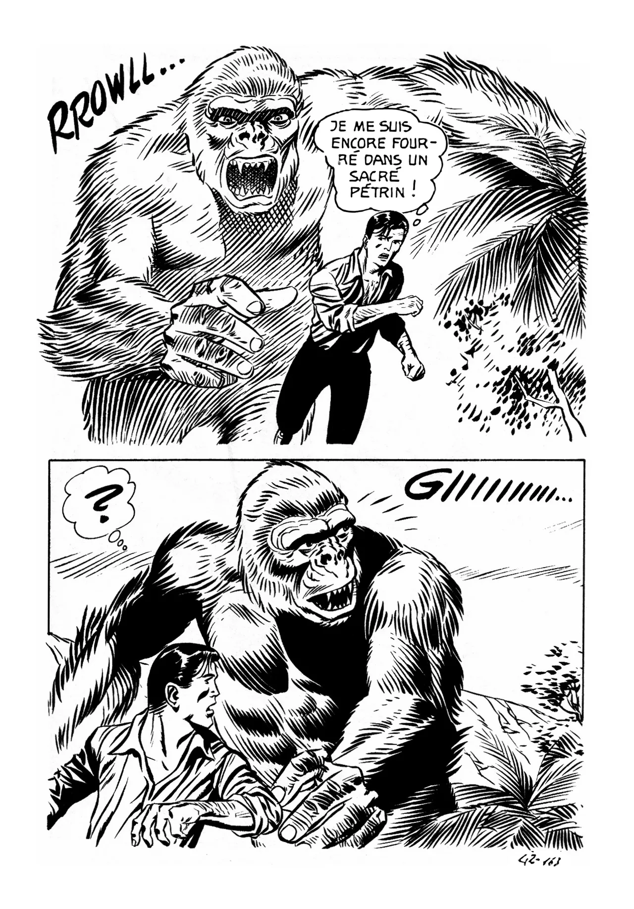 Le secret de King-Kong numero d'image 167
