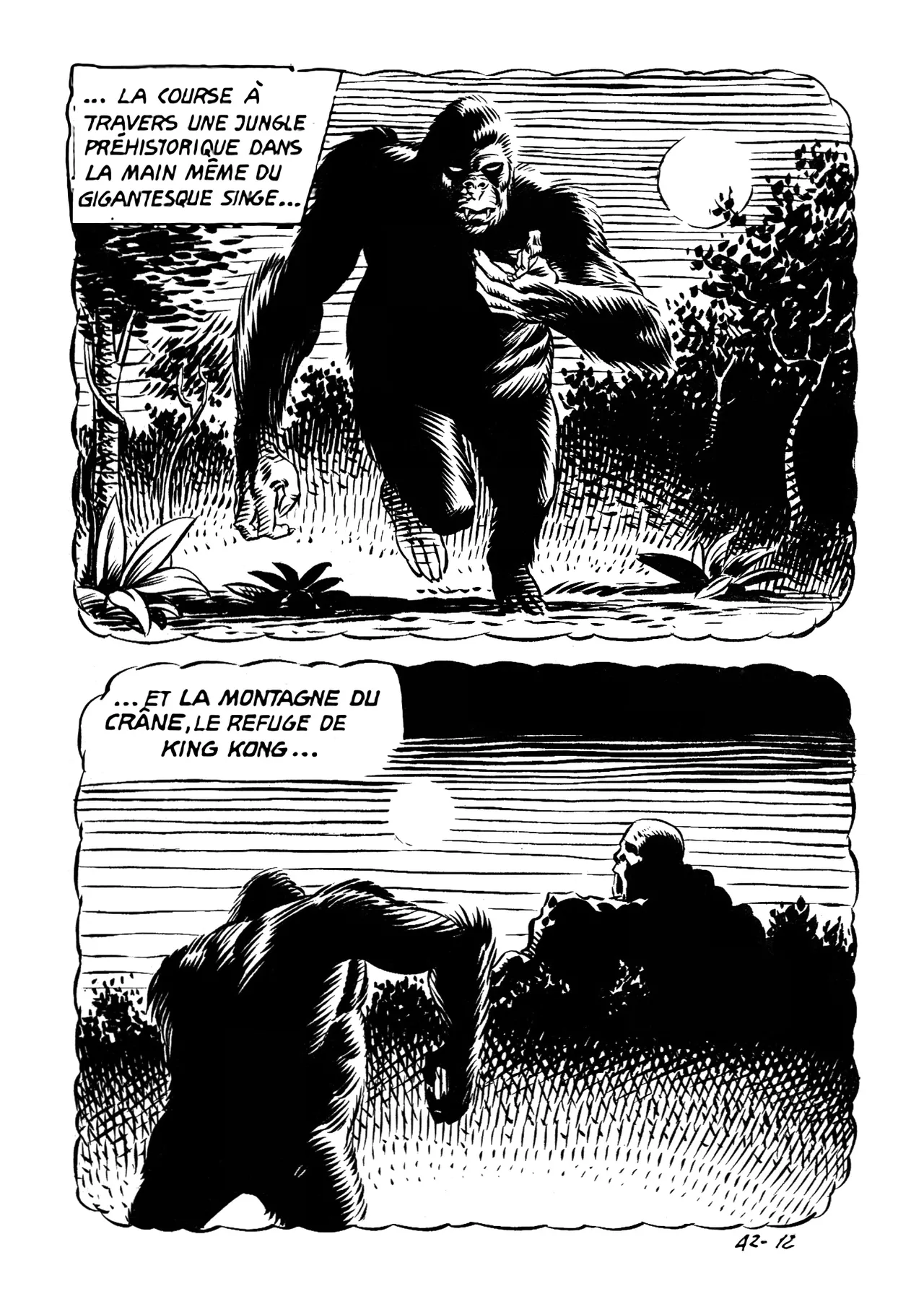 Le secret de King-Kong numero d'image 16