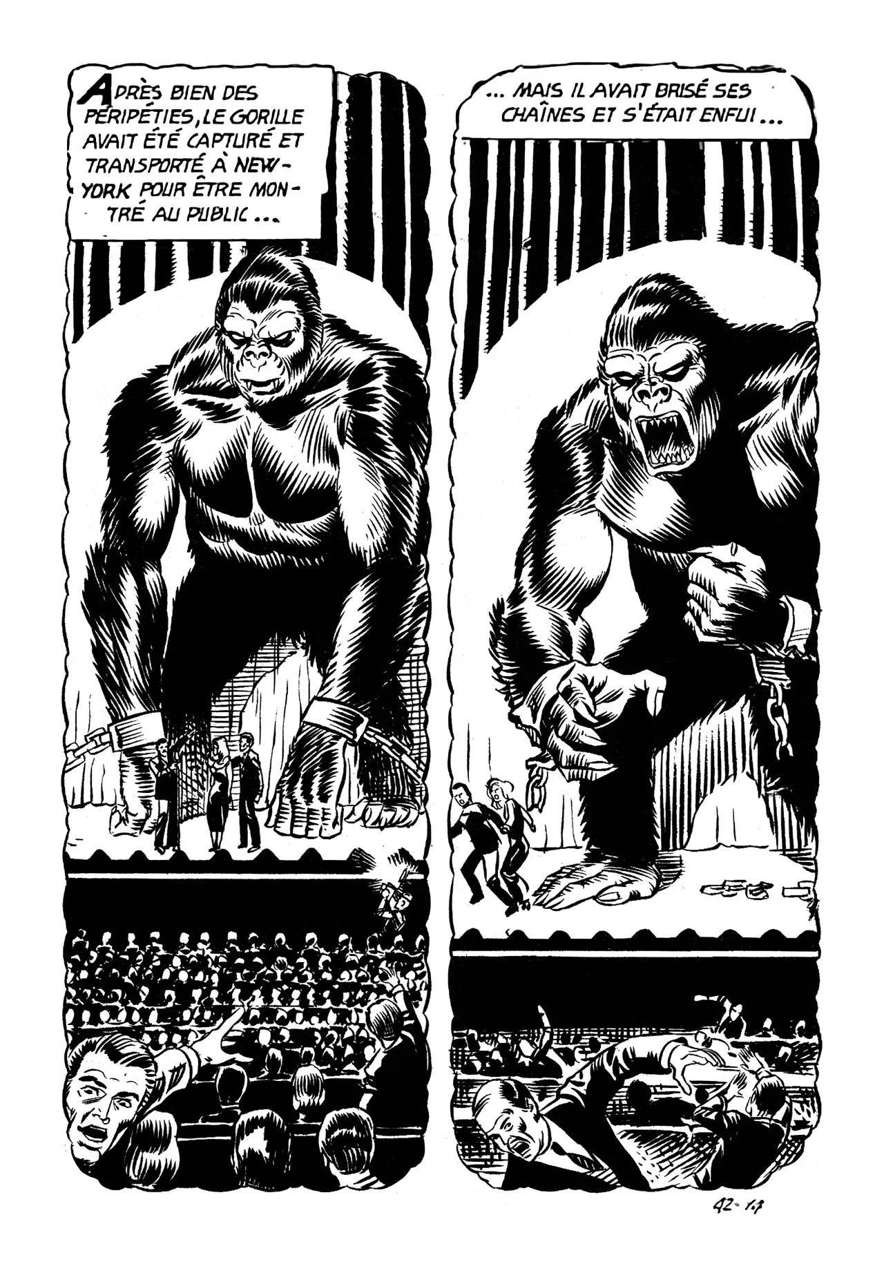 Le secret de King-Kong numero d'image 18
