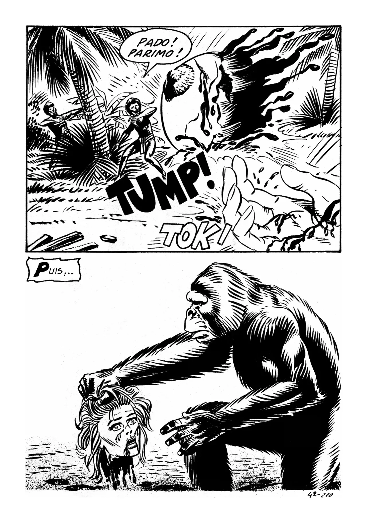 Le secret de King-Kong numero d'image 214