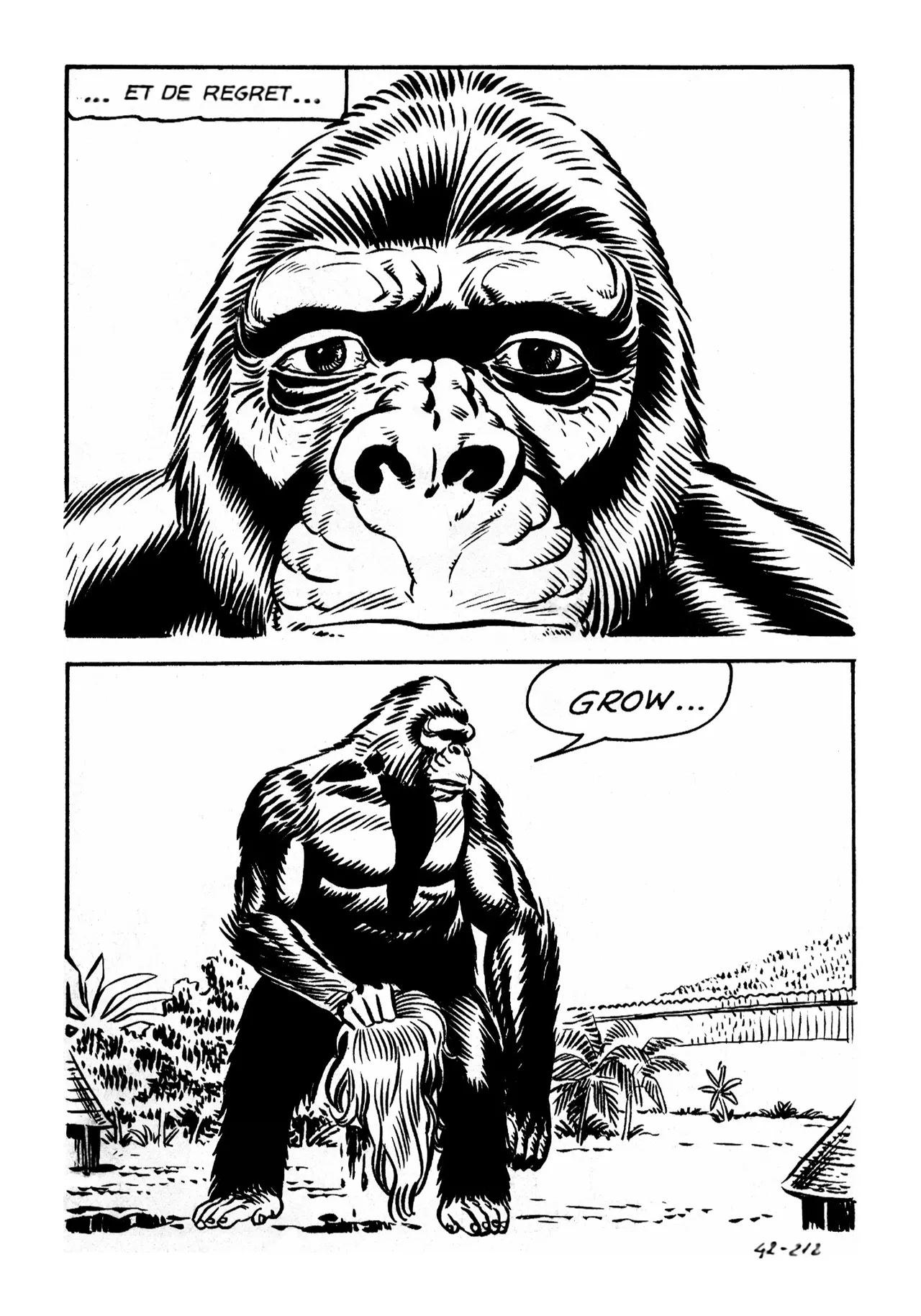 Le secret de King-Kong numero d'image 216