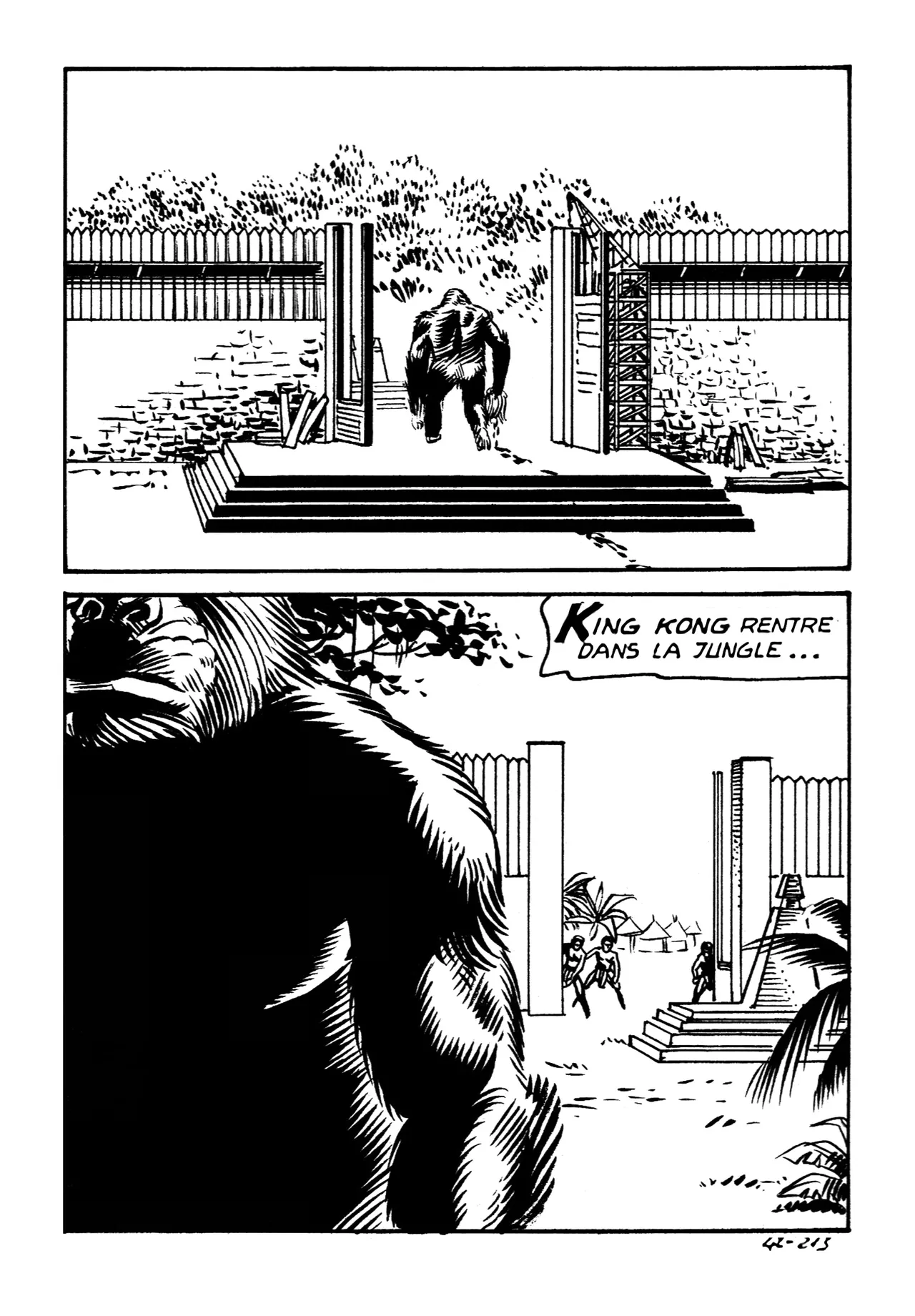 Le secret de King-Kong numero d'image 217
