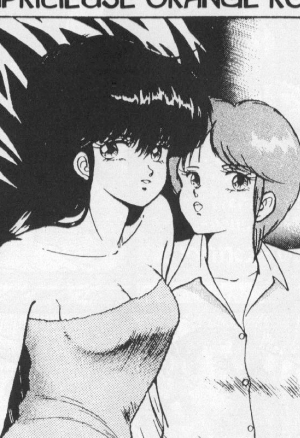 Capricieuse Orange Rose