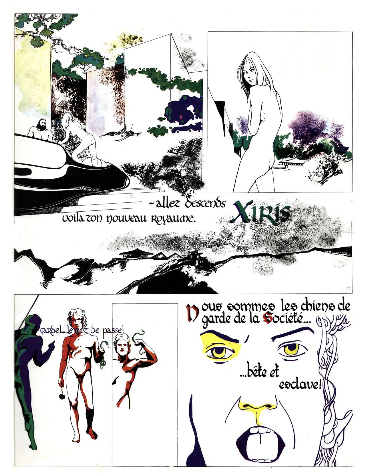 Xiris numero d'image 28