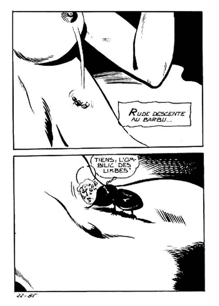 Elvifrance - Contes feerotiques - 022 - Le nain au panier numero d'image 86