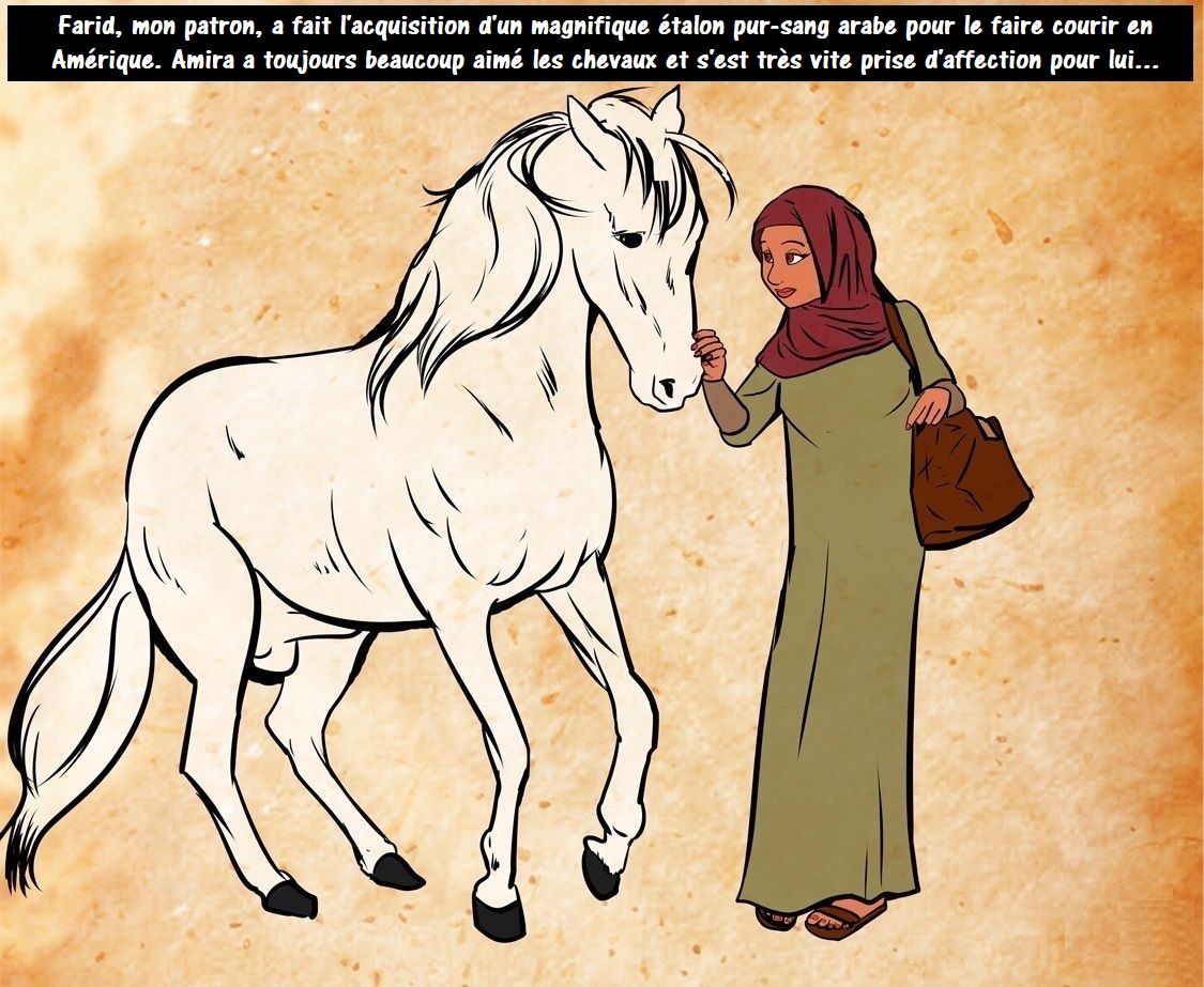 Histoire dune épouse, mère et esclave sexuelle dans le monde arabe. numero d'image 12