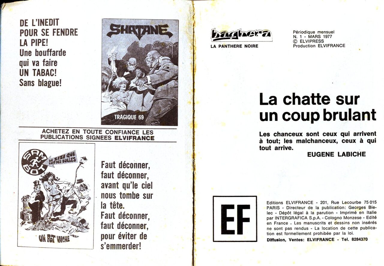 PFA - Elvifrance - Baghera 1 La chatte sur un coup brûlant numero d'image 1