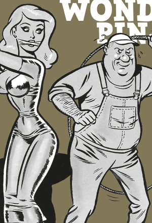 Wonder Pin-up