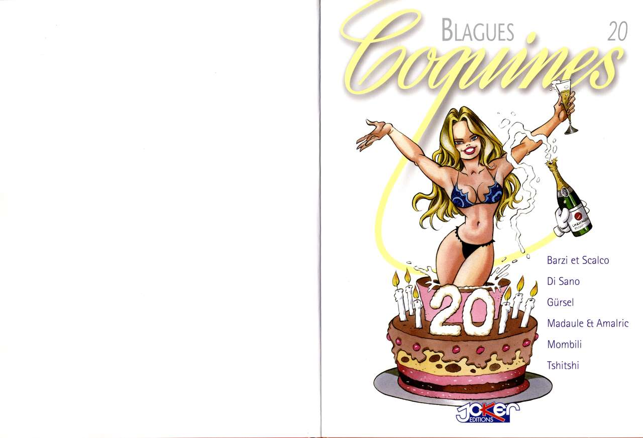 Blagues Coquines Volume 20 numero d'image 2