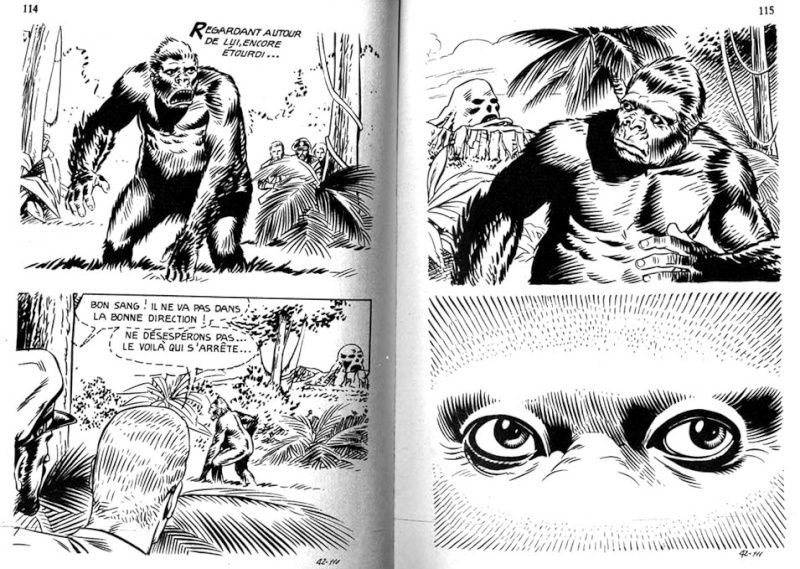 Le King kong numero d'image 37