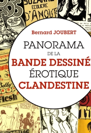 Panorama de la bande dessinée érotique clandestine