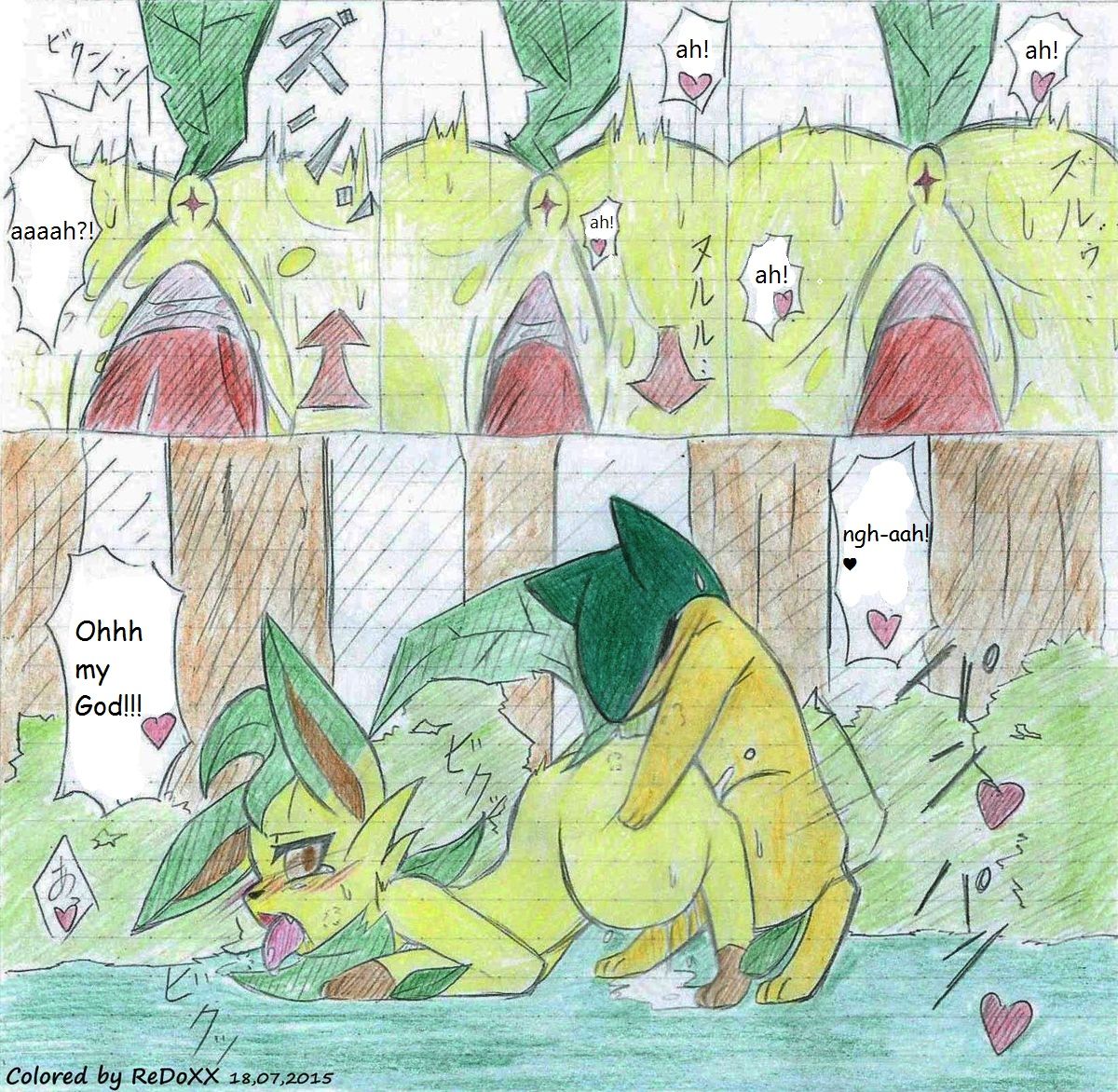 Leafeon X Quilava/ / numero d'image 9