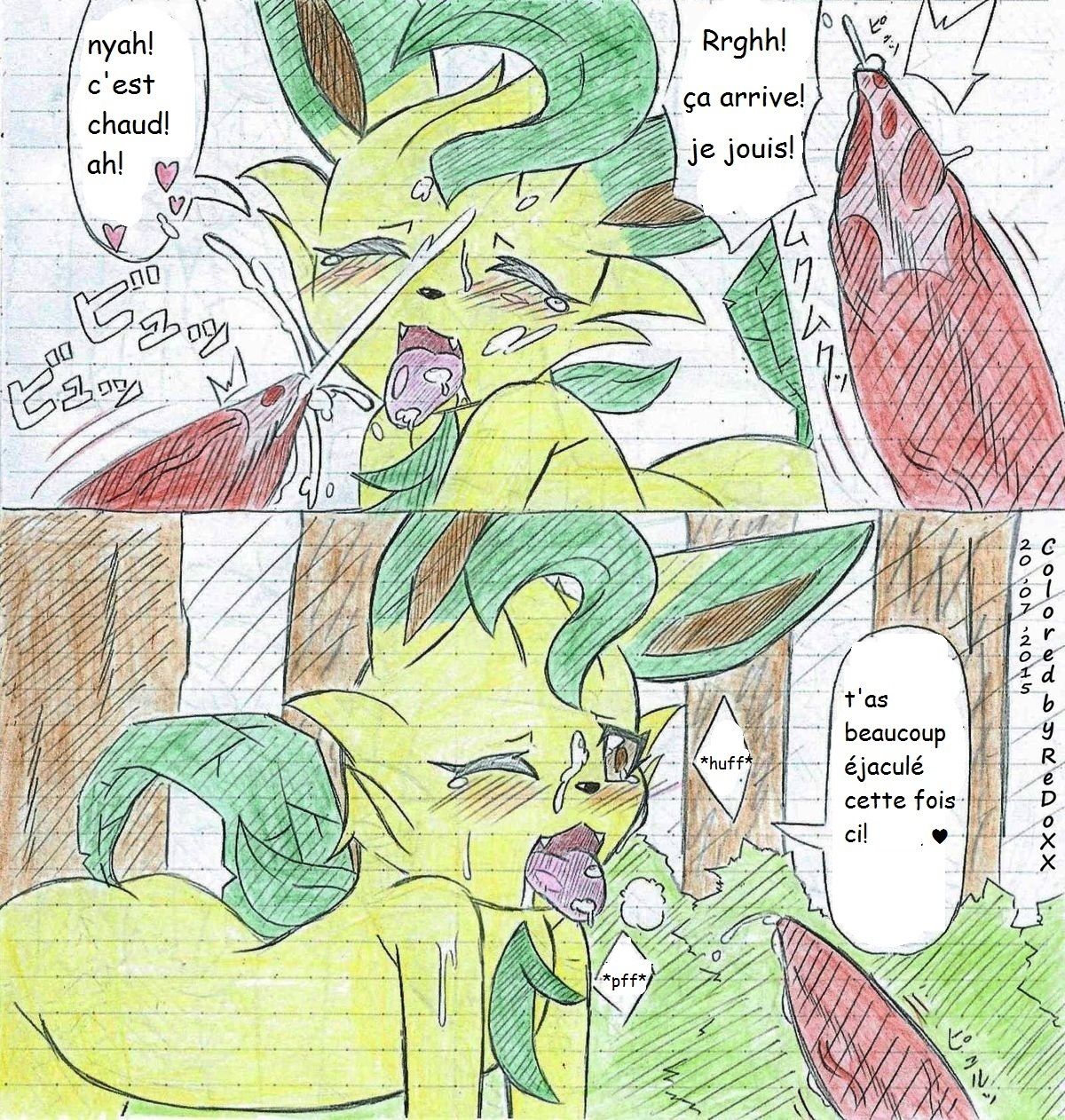 Leafeon X Quilava/ / numero d'image 28