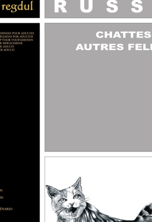 Chattes et autres felins