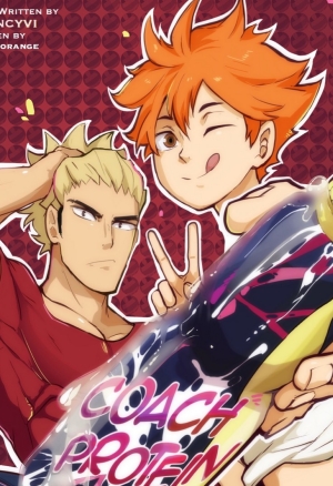 LILPRINCYVI - Protéines du coach