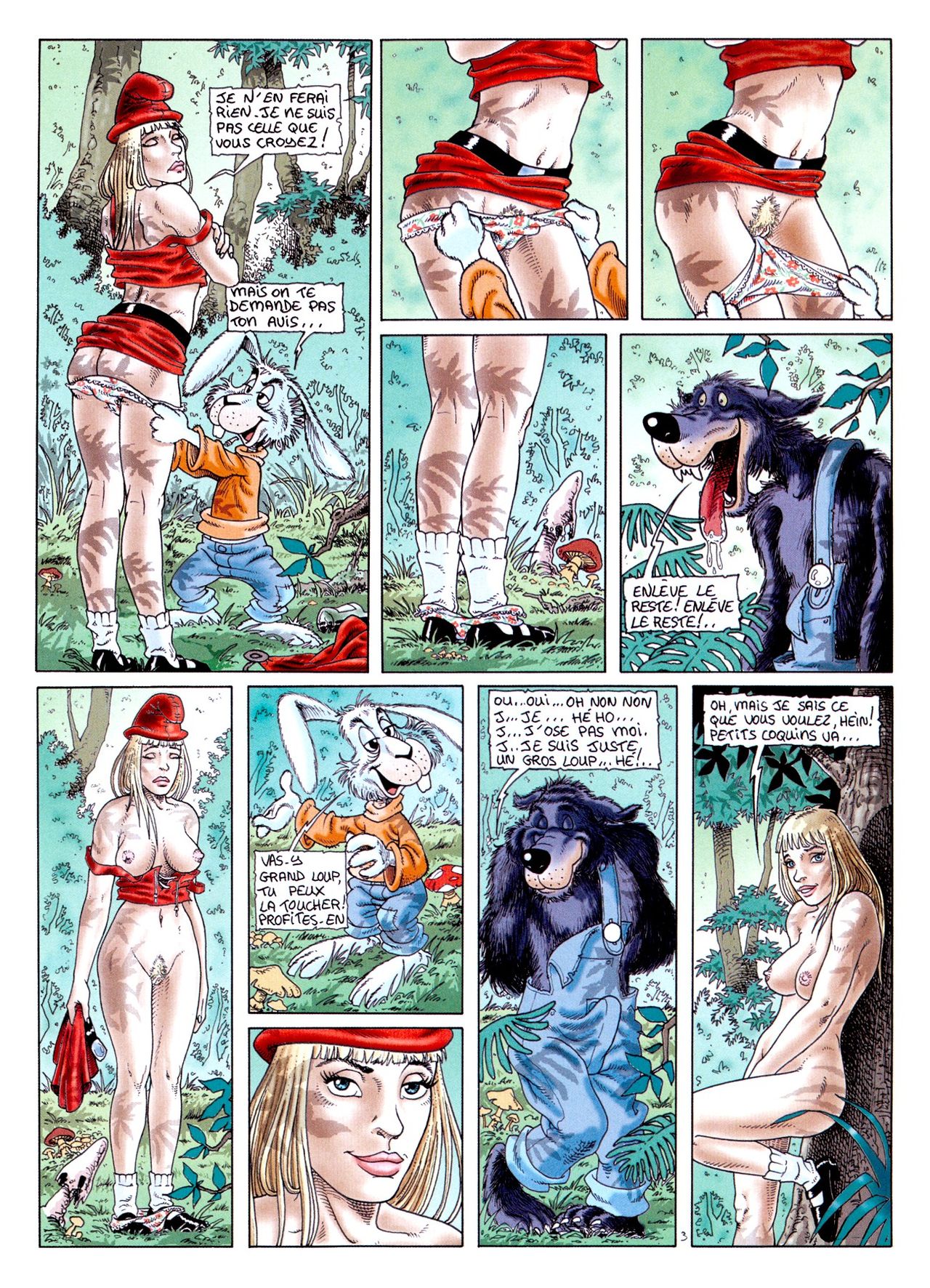 Le Petit Chaperon Rouge numero d'image 3