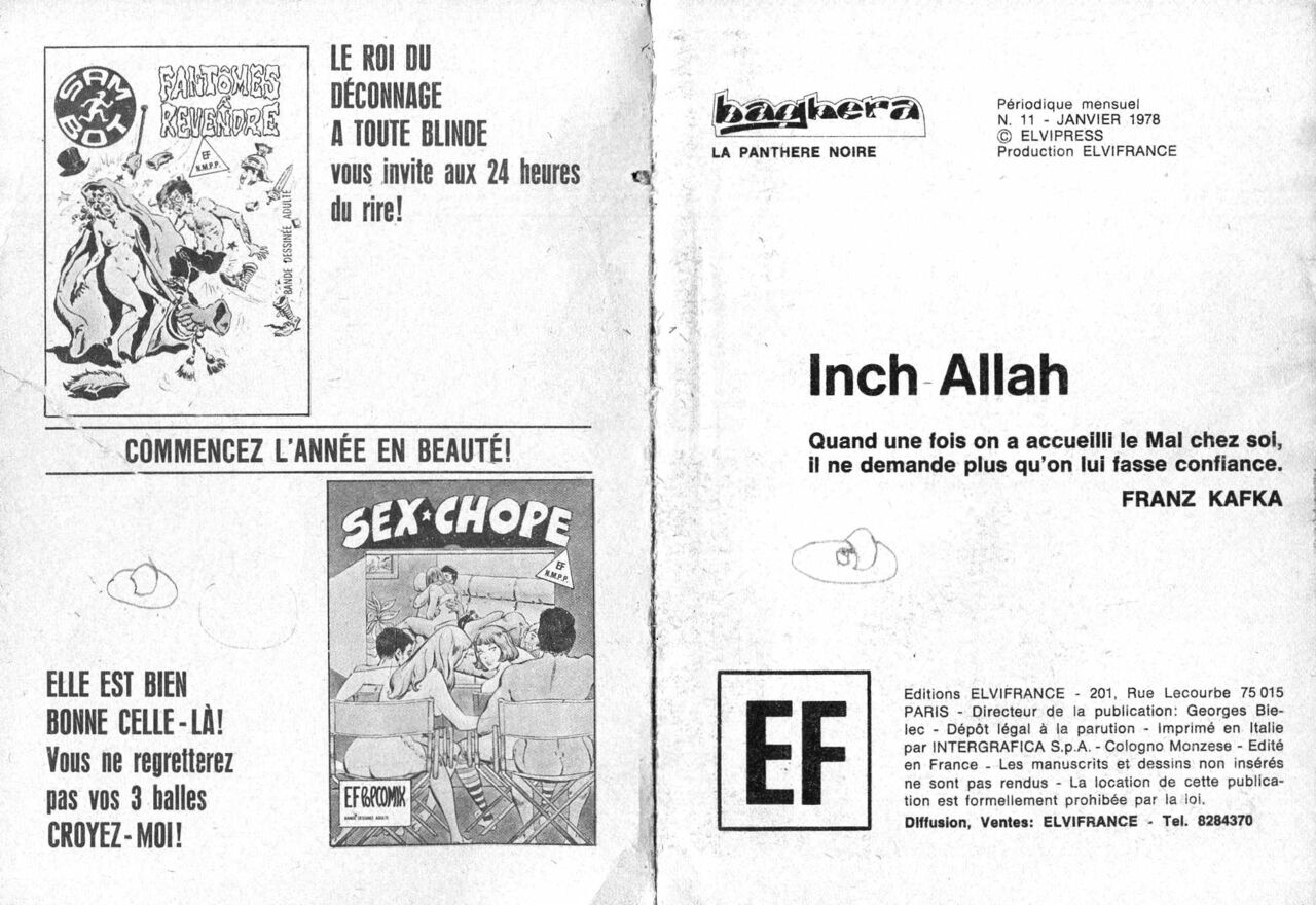 PFA - Elvifrance - Baghera 11 Inch Allah numero d'image 1