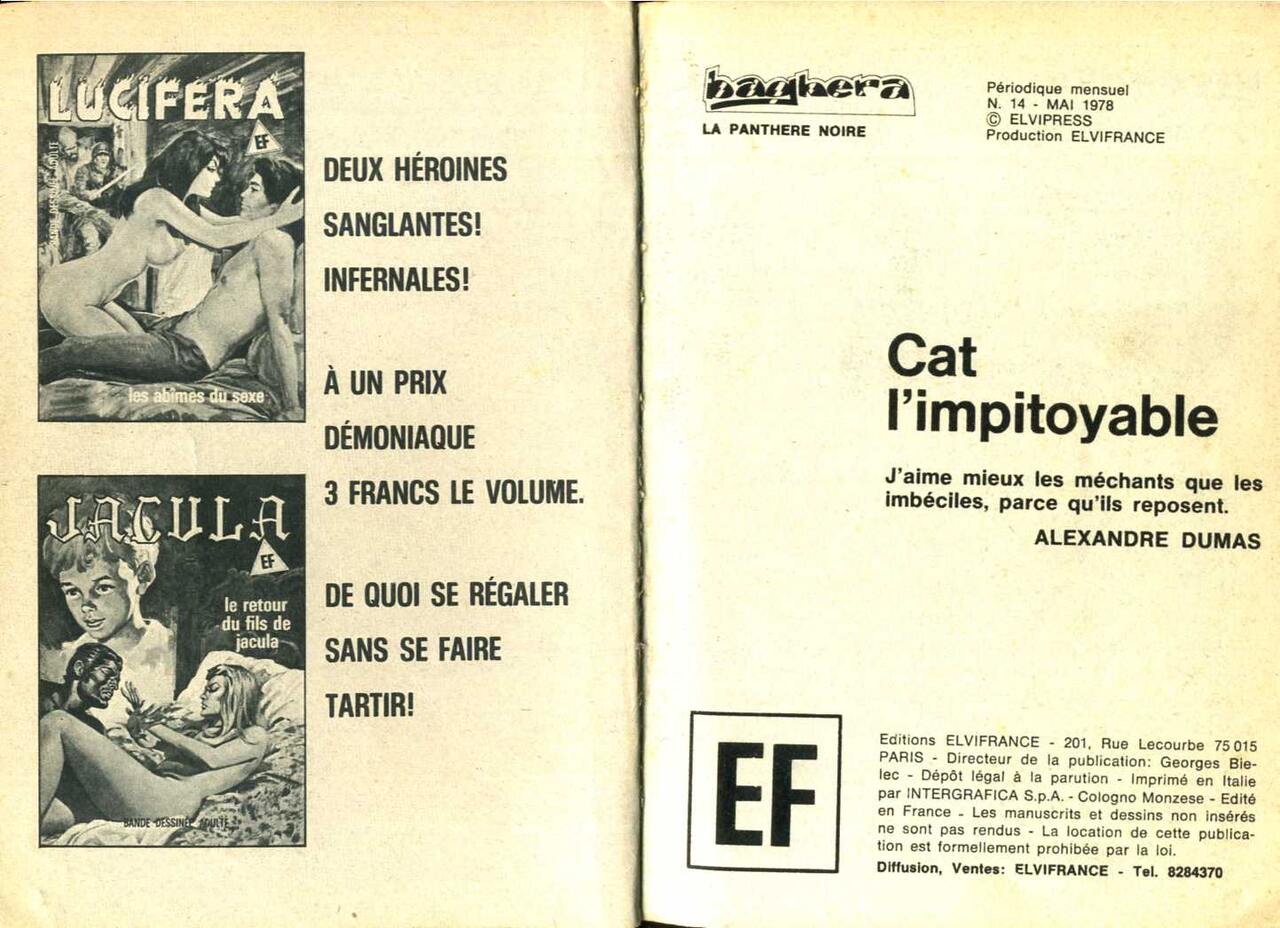 PFA - Elvifrance - Baghera 14 Cat limpitoyable numero d'image 1