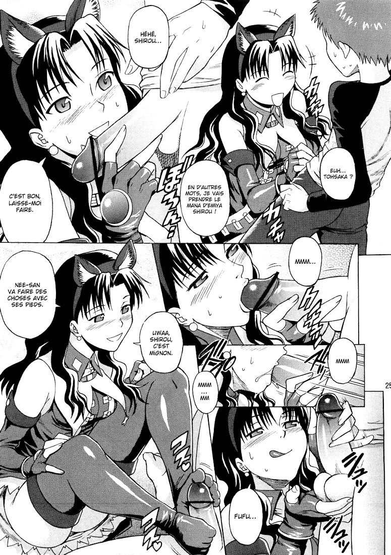 Fate/delusions of grandeur numero d'image 23
