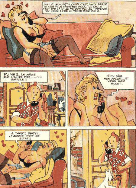La vie sexuelle de Tintin numero d'image 14