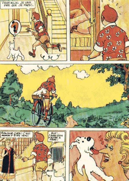 La vie sexuelle de Tintin numero d'image 15