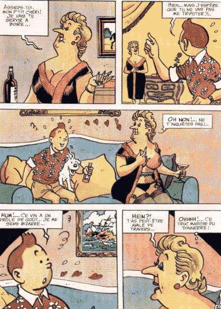 La vie sexuelle de Tintin numero d'image 16