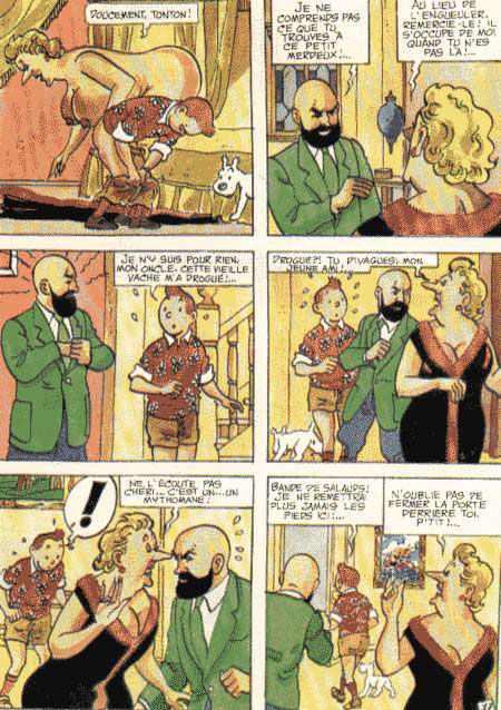 La vie sexuelle de Tintin numero d'image 19