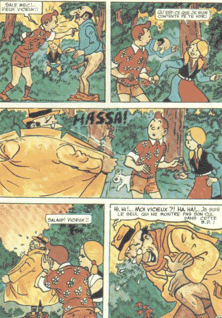 La vie sexuelle de Tintin numero d'image 25