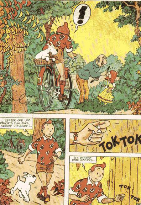 La vie sexuelle de Tintin numero d'image 27