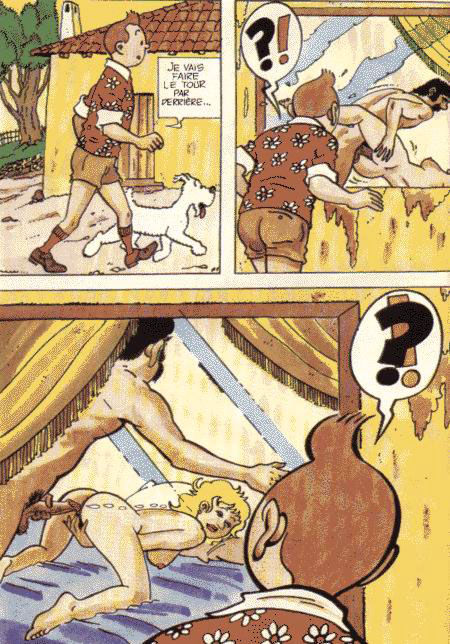 La vie sexuelle de Tintin numero d'image 28