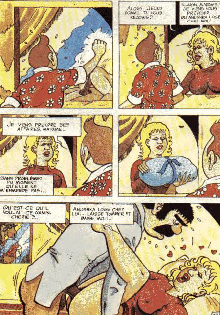 La vie sexuelle de Tintin numero d'image 29