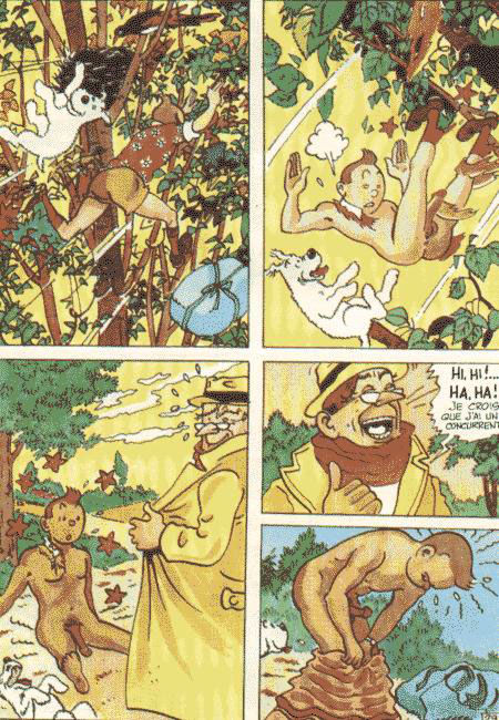 La vie sexuelle de Tintin numero d'image 31