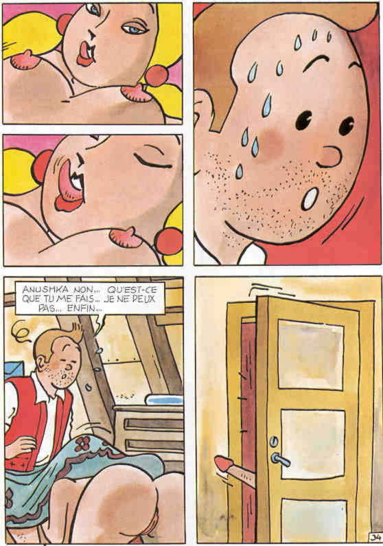 La vie sexuelle de Tintin numero d'image 36