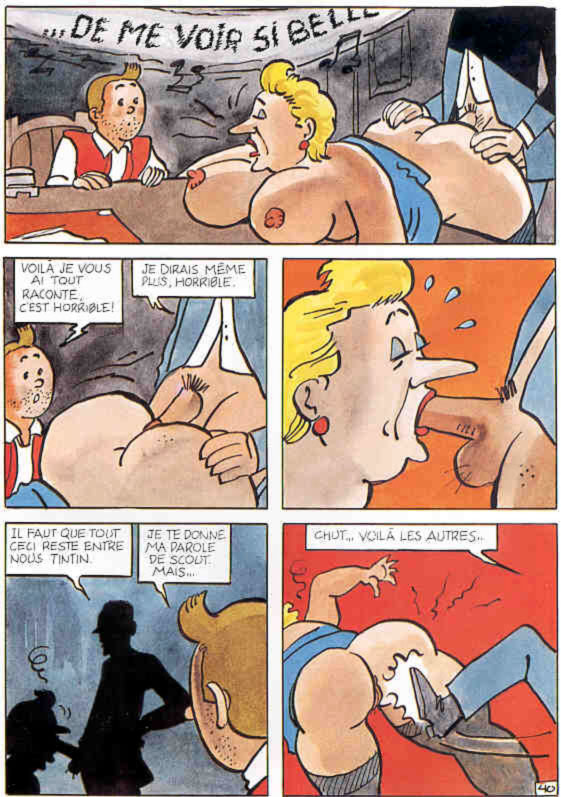 La vie sexuelle de Tintin numero d'image 42