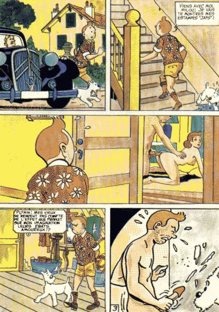 La vie sexuelle de Tintin numero d'image 5