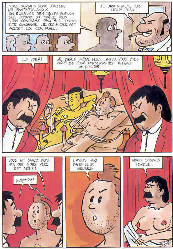 La vie sexuelle de Tintin numero d'image 64