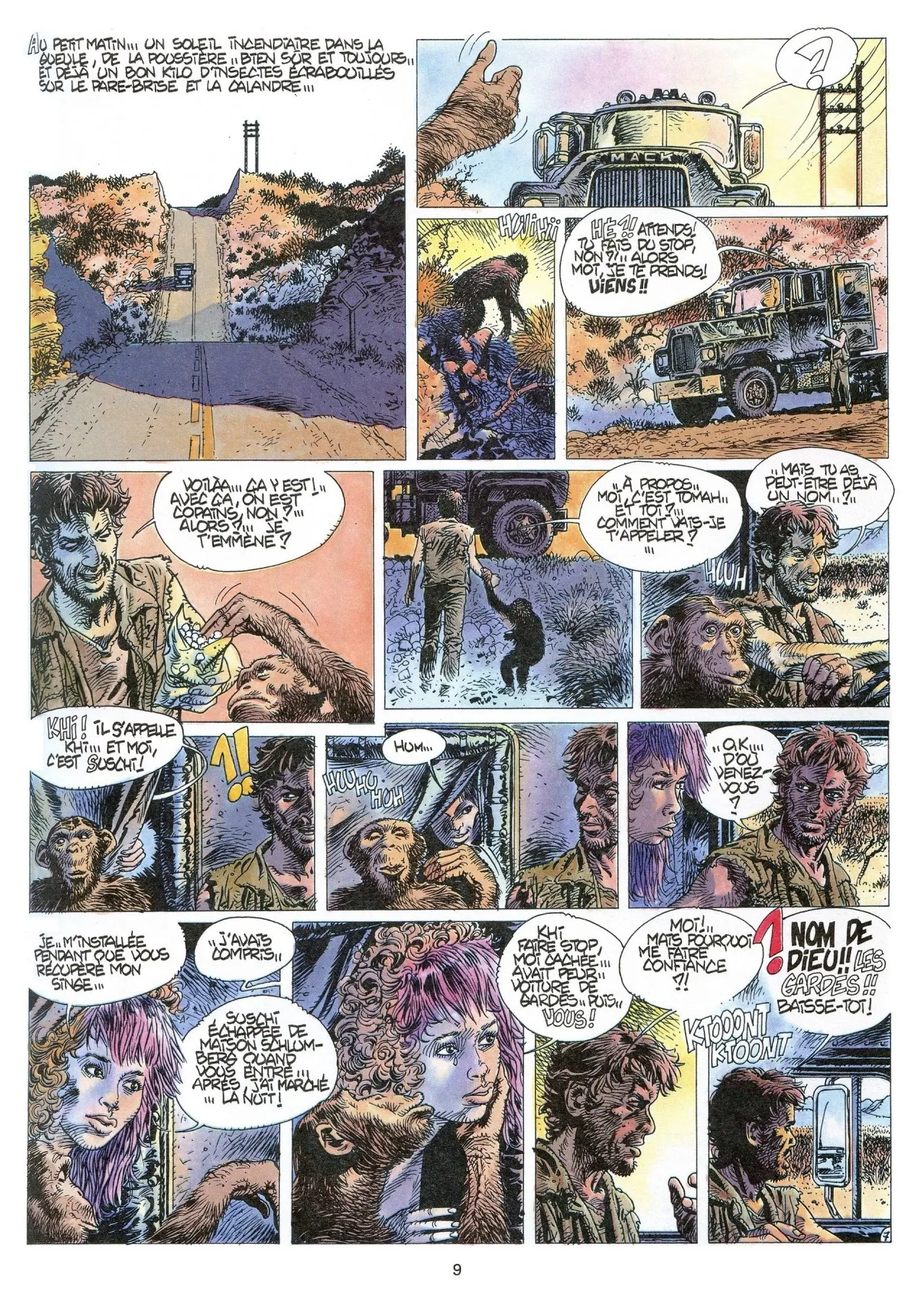 Le solitaire 01 Tomah numero d'image 9