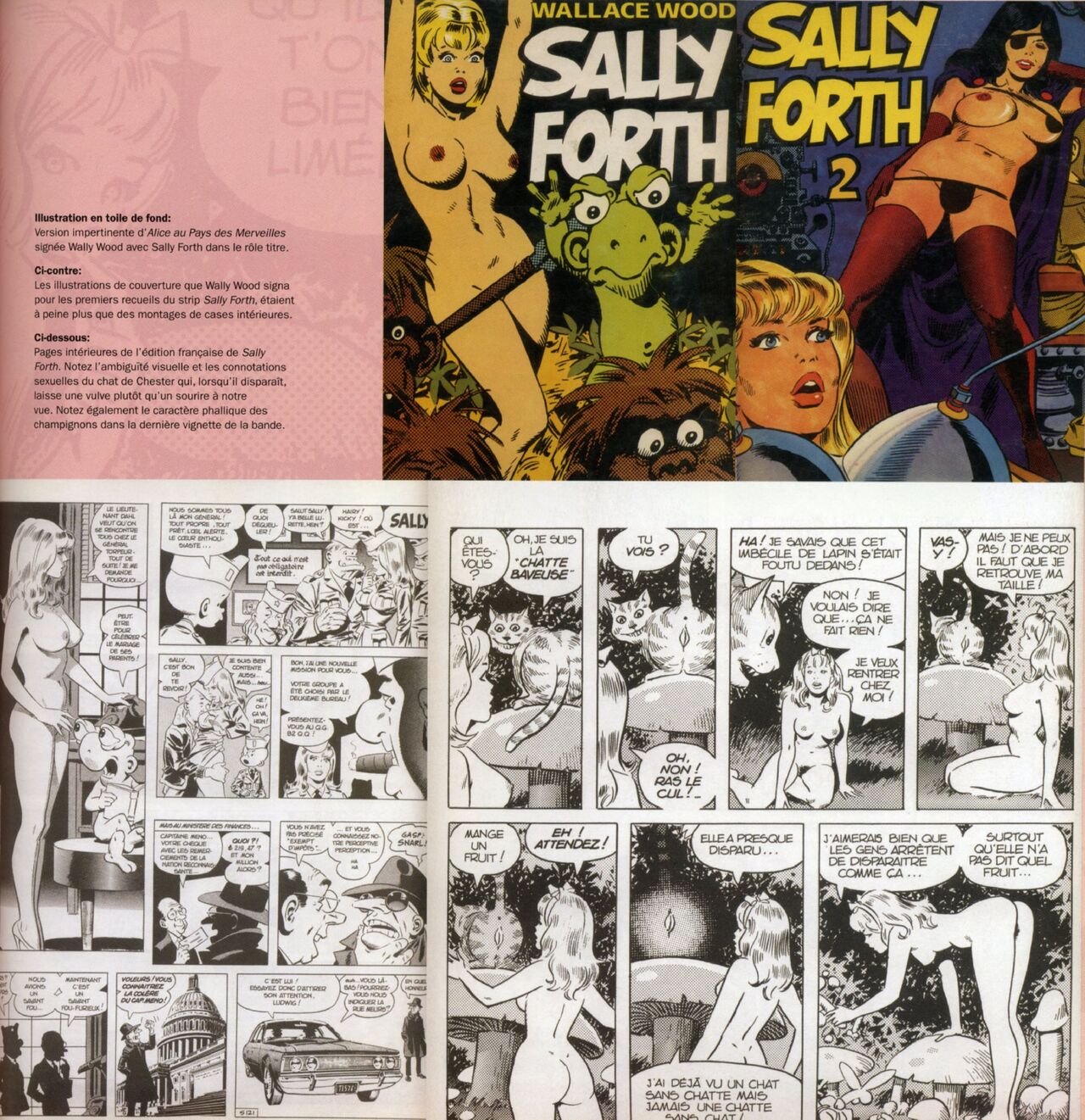 la bd érotique tome 1 histoire en numero d'image 93